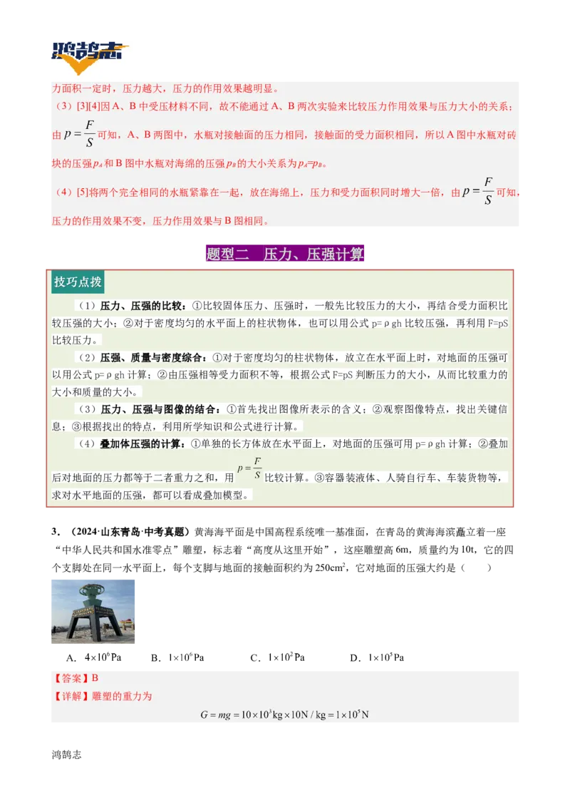 专题10压强（讲义）（解析版）_8、物理总复习_《2025年中考复习讲义》物理