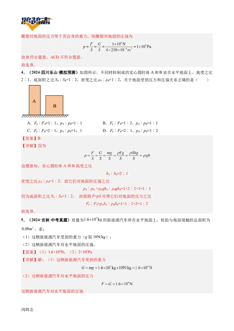 专题10压强（讲义）（解析版）_8、物理总复习_《2025年中考复习讲义》物理