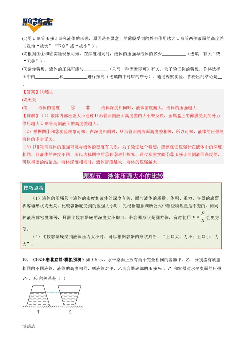 专题10压强（讲义）（解析版）_8、物理总复习_《2025年中考复习讲义》物理