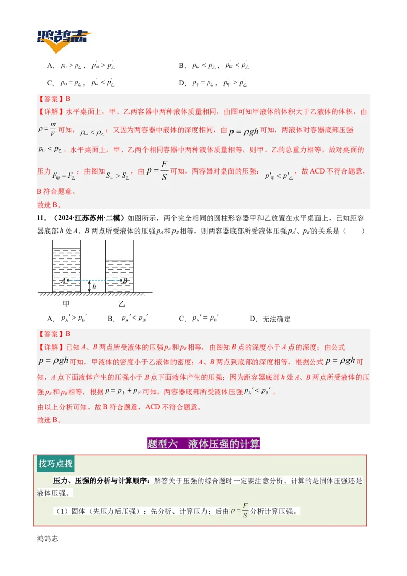 专题10压强（讲义）（解析版）_8、物理总复习_《2025年中考复习讲义》物理