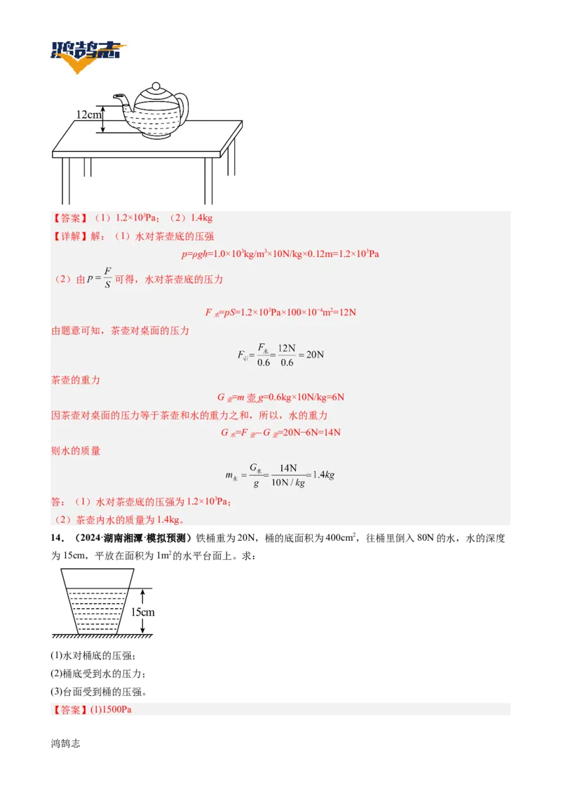 专题10压强（讲义）（解析版）_8、物理总复习_《2025年中考复习讲义》物理