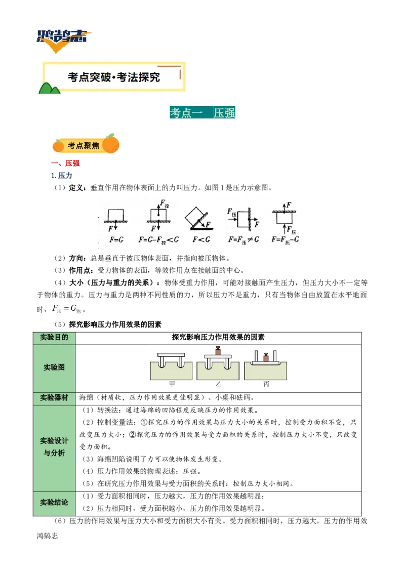 专题10压强（讲义）（解析版）_8、物理总复习_《2025年中考复习讲义》物理