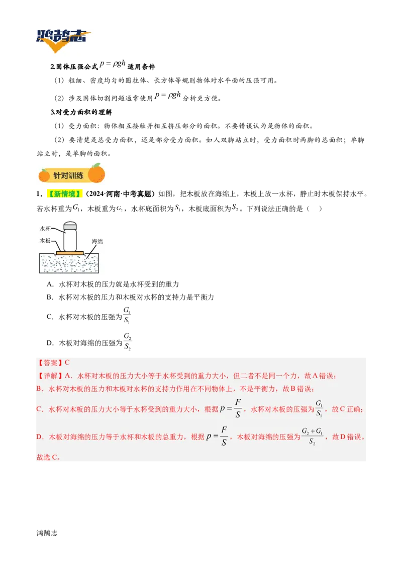 专题10压强（讲义）（解析版）_8、物理总复习_《2025年中考复习讲义》物理