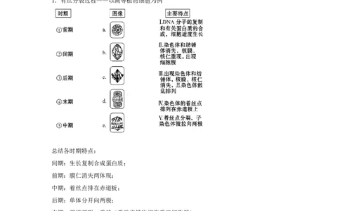 专题10_细胞的有丝分裂(学生版)_新高考复习资料_2023年新高考复习资料_二轮复习_增分要点2023高考生物二轮复习专题解读和分层训练291073137