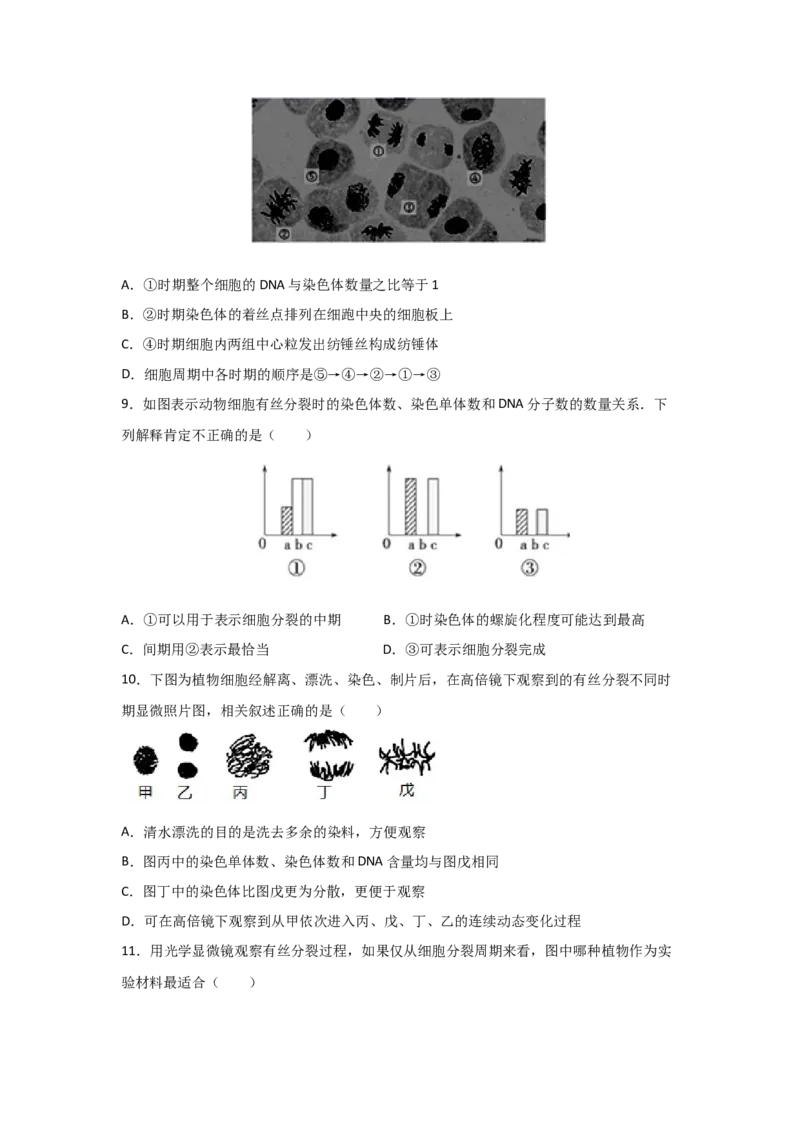 专题10_细胞的有丝分裂(学生版)_新高考复习资料_2023年新高考复习资料_二轮复习_增分要点2023高考生物二轮复习专题解读和分层训练291073137