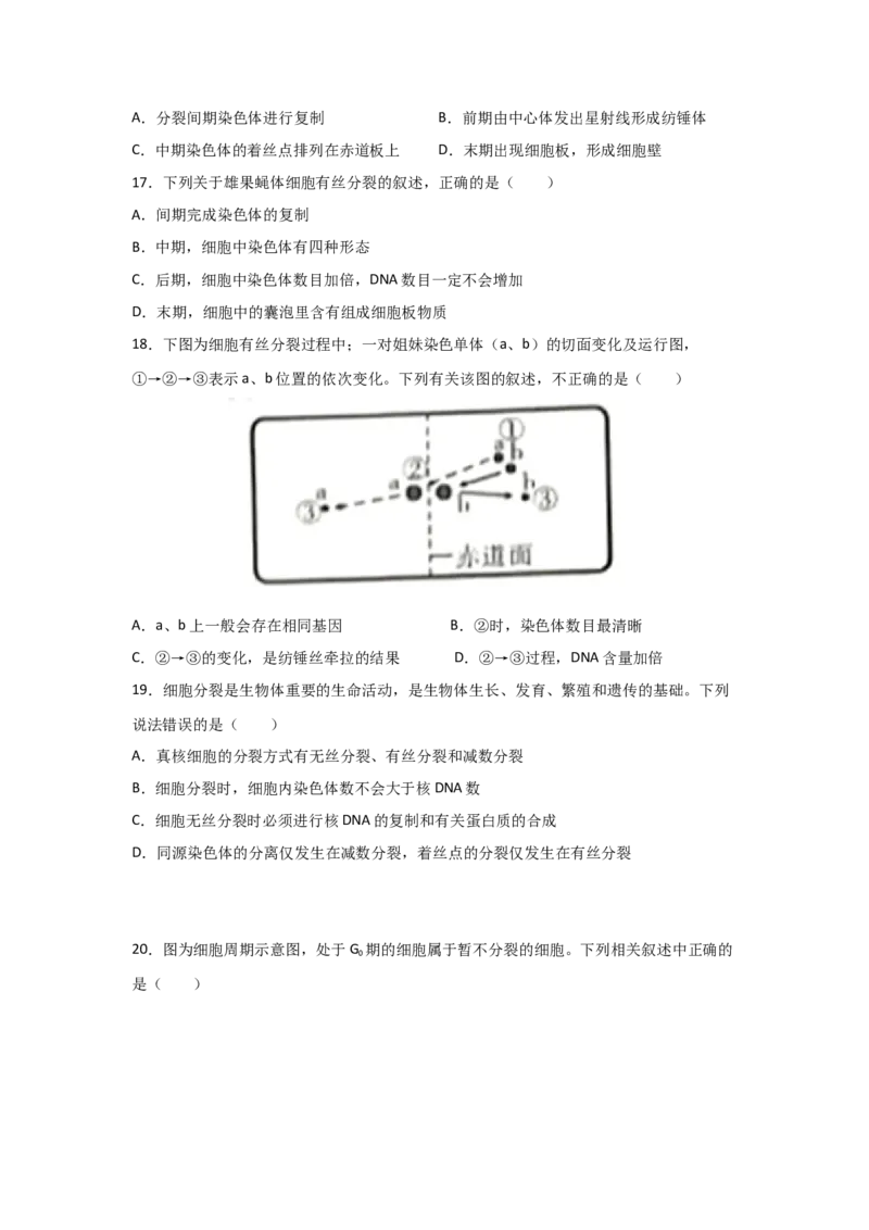 专题10_细胞的有丝分裂(学生版)_新高考复习资料_2023年新高考复习资料_二轮复习_增分要点2023高考生物二轮复习专题解读和分层训练291073137