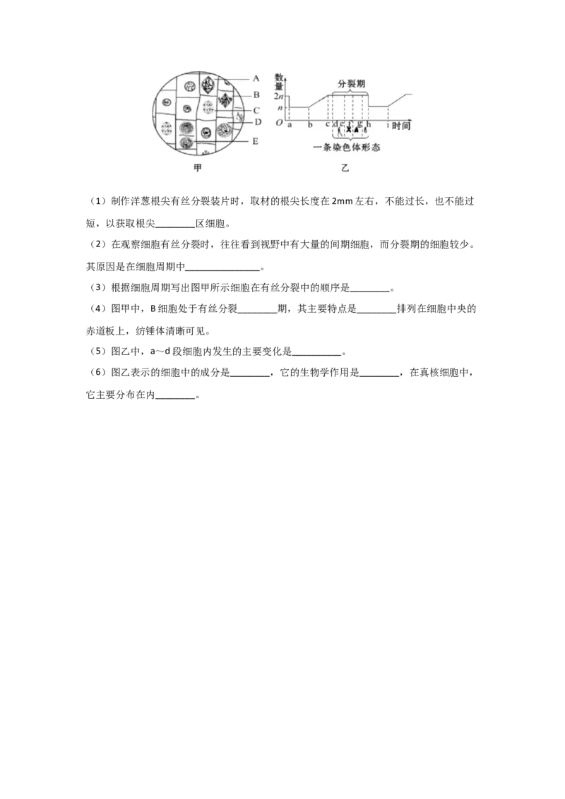 专题10_细胞的有丝分裂(学生版)_新高考复习资料_2023年新高考复习资料_二轮复习_增分要点2023高考生物二轮复习专题解读和分层训练291073137