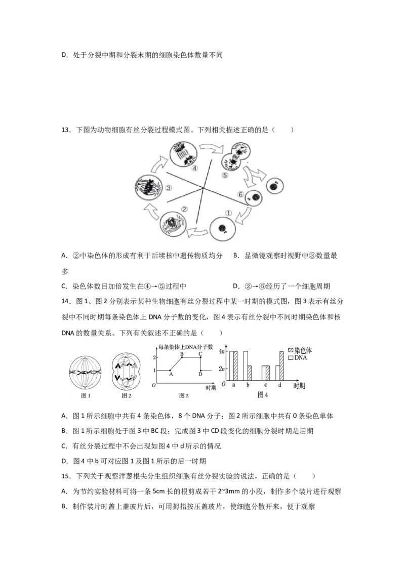 专题10_细胞的有丝分裂(学生版)_新高考复习资料_2023年新高考复习资料_二轮复习_增分要点2023高考生物二轮复习专题解读和分层训练291073137