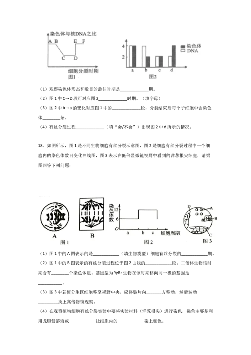 专题10_细胞的有丝分裂(学生版)_新高考复习资料_2023年新高考复习资料_二轮复习_增分要点2023高考生物二轮复习专题解读和分层训练291073137