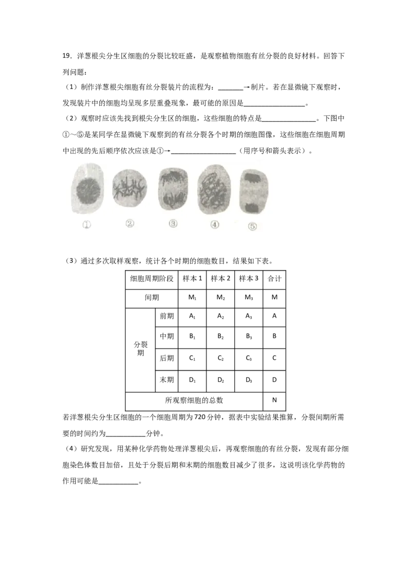 专题10_细胞的有丝分裂(学生版)_新高考复习资料_2023年新高考复习资料_二轮复习_增分要点2023高考生物二轮复习专题解读和分层训练291073137