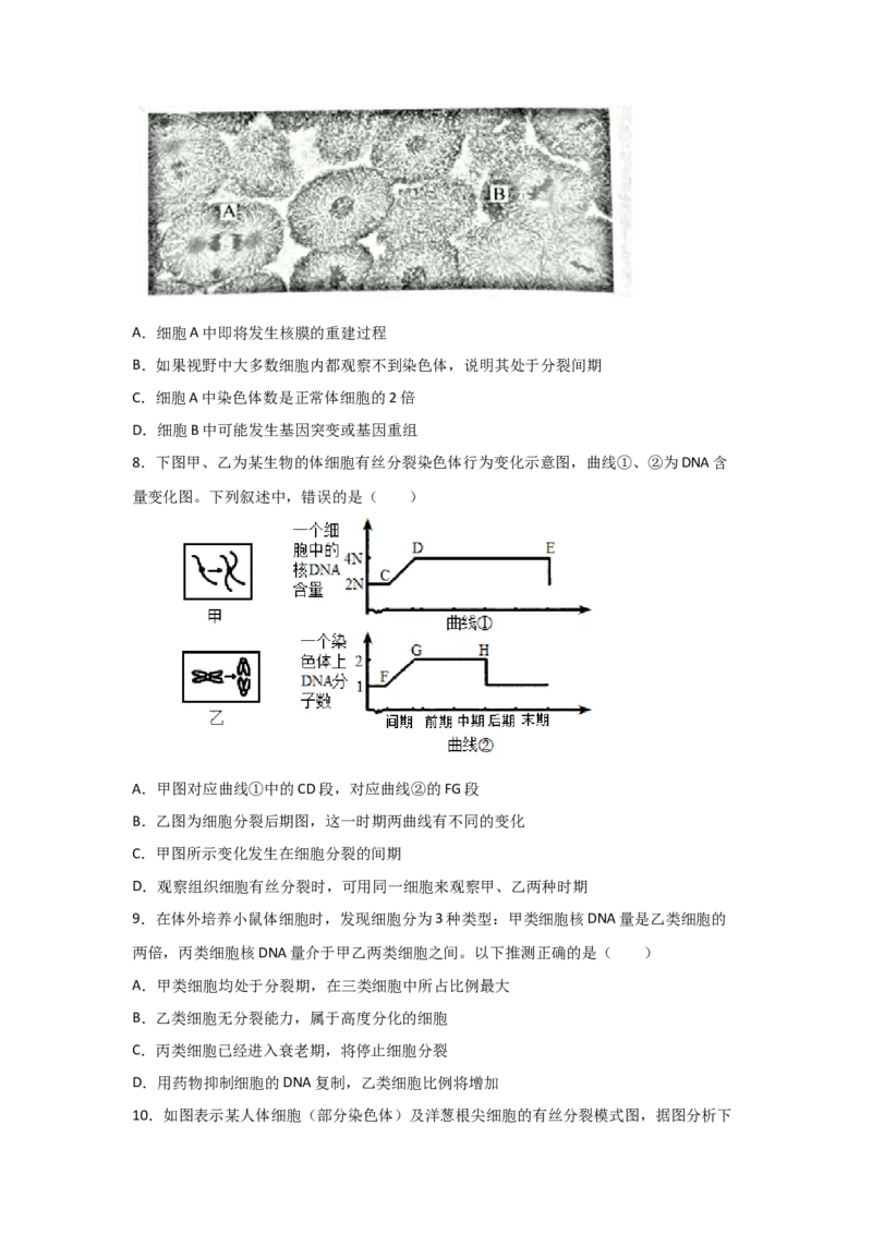 专题10_细胞的有丝分裂(学生版)_新高考复习资料_2023年新高考复习资料_二轮复习_增分要点2023高考生物二轮复习专题解读和分层训练291073137