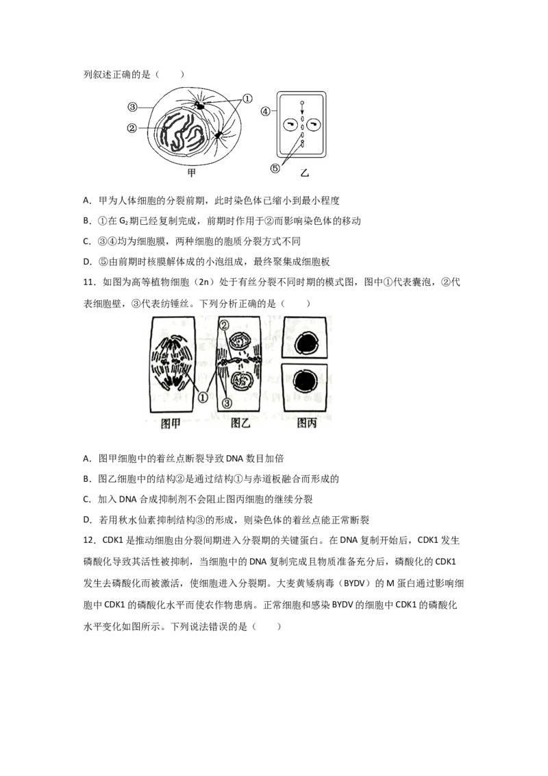 专题10_细胞的有丝分裂(学生版)_新高考复习资料_2023年新高考复习资料_二轮复习_增分要点2023高考生物二轮复习专题解读和分层训练291073137