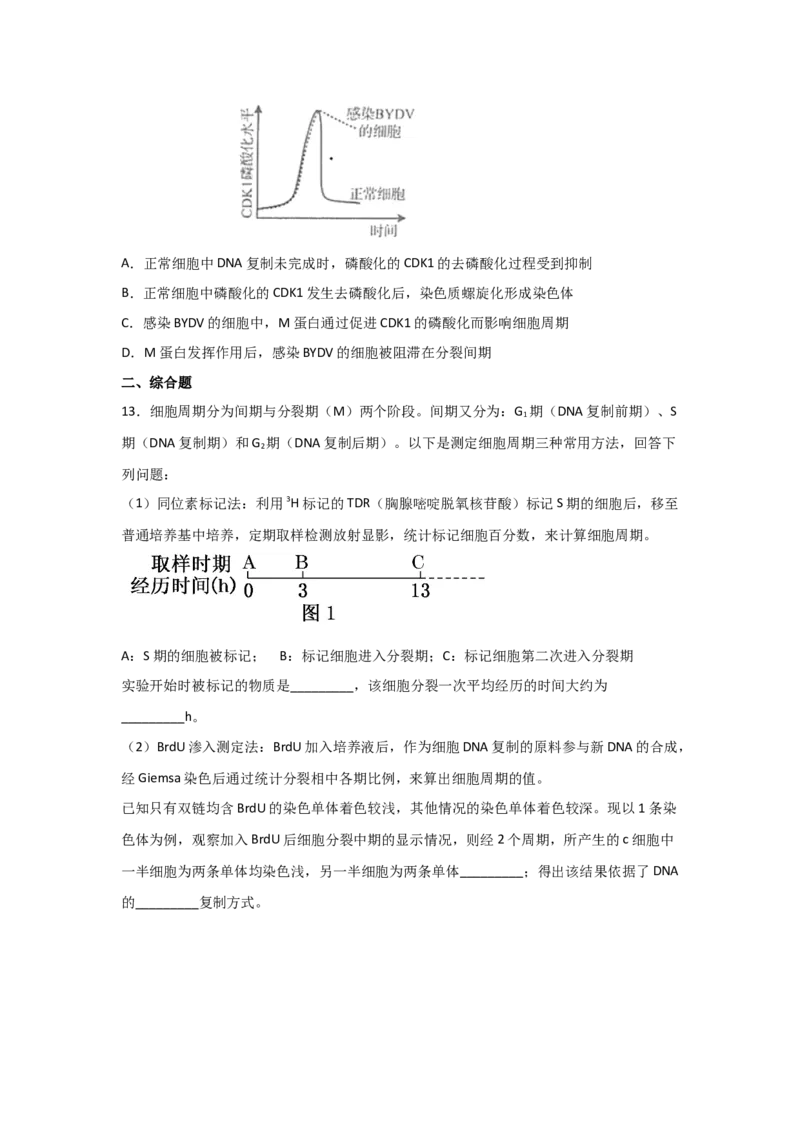 专题10_细胞的有丝分裂(学生版)_新高考复习资料_2023年新高考复习资料_二轮复习_增分要点2023高考生物二轮复习专题解读和分层训练291073137