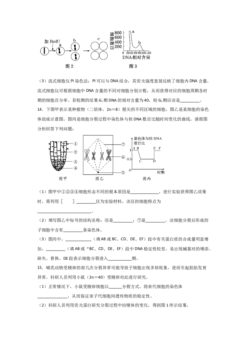 专题10_细胞的有丝分裂(学生版)_新高考复习资料_2023年新高考复习资料_二轮复习_增分要点2023高考生物二轮复习专题解读和分层训练291073137