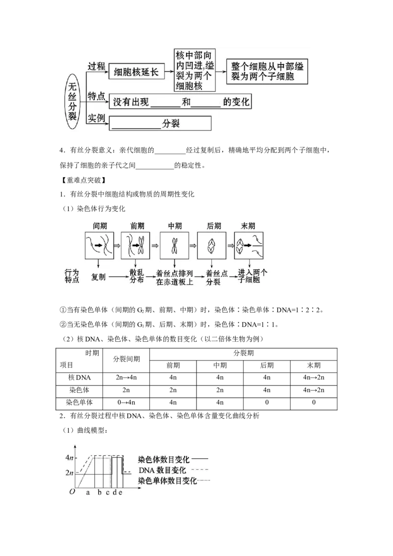 专题10_细胞的有丝分裂(学生版)_新高考复习资料_2023年新高考复习资料_二轮复习_增分要点2023高考生物二轮复习专题解读和分层训练291073137