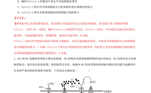 黄金卷02（解析版）-赢在高考&middot;黄金8卷备战2024年高考生物模拟卷（湖北专用）_2024年新高考资料_4.2024高考模拟预测试卷