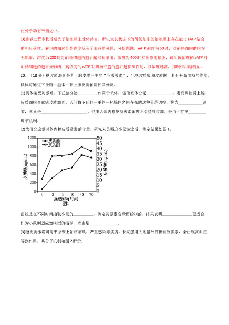 黄金卷02（解析版）-赢在高考&middot;黄金8卷备战2024年高考生物模拟卷（湖北专用）_2024年新高考资料_4.2024高考模拟预测试卷