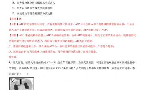 黄金卷07（解析版）_2024年新高考资料_4.2024高考模拟预测试卷_赢在高考&middot;黄金8卷备战2024年高考生物模拟卷（湖南专用）31263208