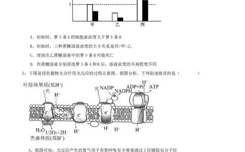 黄金卷04（考试版）-赢在高考&middot;黄金8卷备战2024年高考生物模拟卷（湖北专用）_2024年新高考资料_4.2024高考模拟预测试卷
