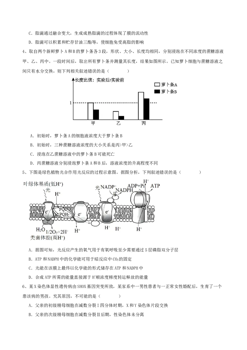黄金卷04（考试版）-赢在高考&middot;黄金8卷备战2024年高考生物模拟卷（湖北专用）_2024年新高考资料_4.2024高考模拟预测试卷