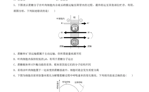 黄金卷05（考试版）-赢在高考&middot;黄金8卷备战2024年高考生物模拟卷（福建专用）_2024年新高考资料_4.2024高考模拟预测试卷