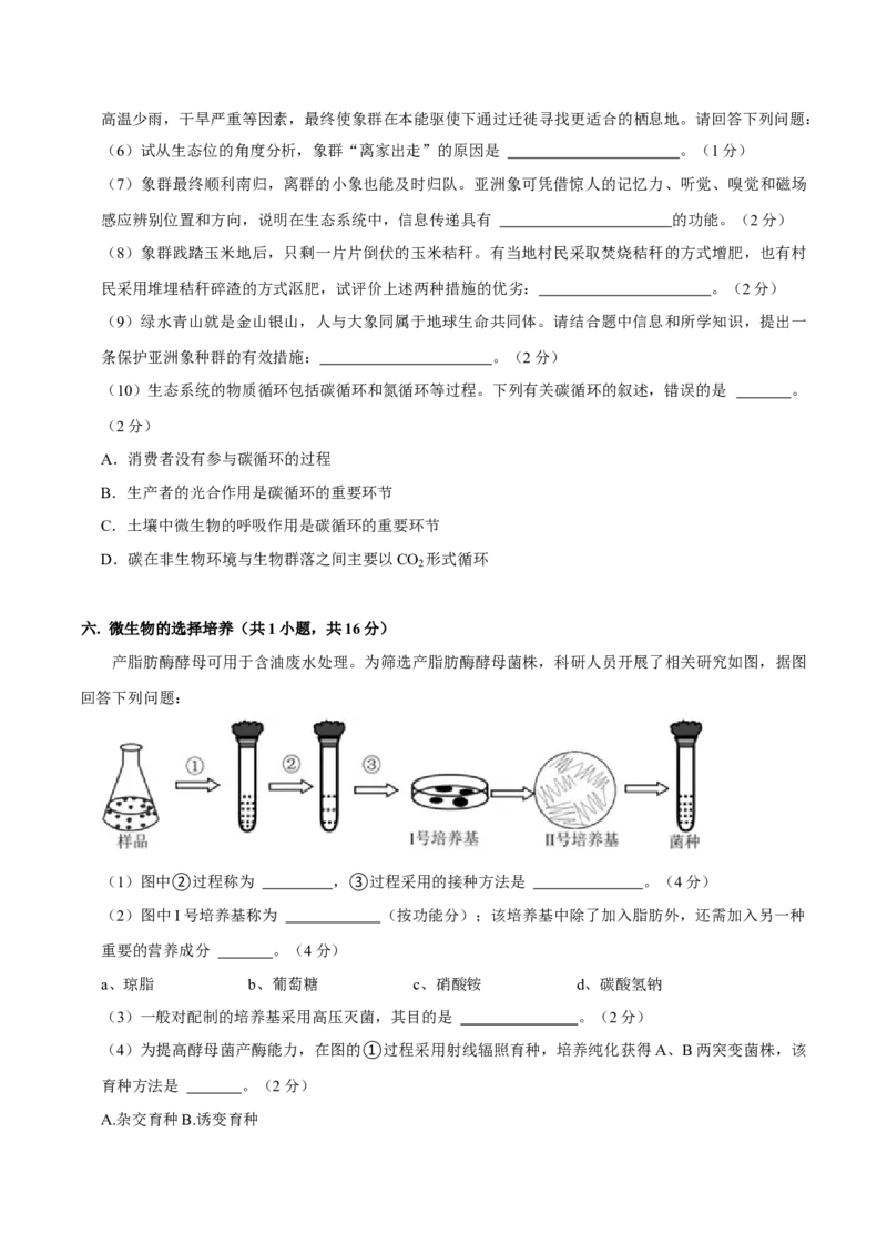 黄金卷06（考试版）-赢在高考&middot;黄金8卷备战2024年高考生物模拟卷（上海专用）_2024年新高考资料_4.2024高考模拟预测试卷