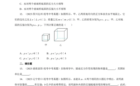 专题09压强（真题训练）-物理中考一轮复习精品资料（原卷版）_8、物理总复习_2024年中考复习资料_一轮复习_更新2024年中考物理一轮复习精品资料_配套练习
