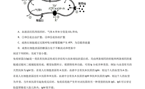 黄金卷05（考试版）-赢在高考&middot;黄金8卷备战2024年高考生物模拟卷（浙江专用）_2024年新高考资料_4.2024高考模拟预测试卷