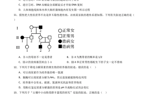 黄金卷03（新教材单科）-赢在高考&middot;黄金8卷备战2024年高考生物模拟卷（全国卷专用）（考试版）_2024年新高考资料_4.2024高考模拟预测试卷