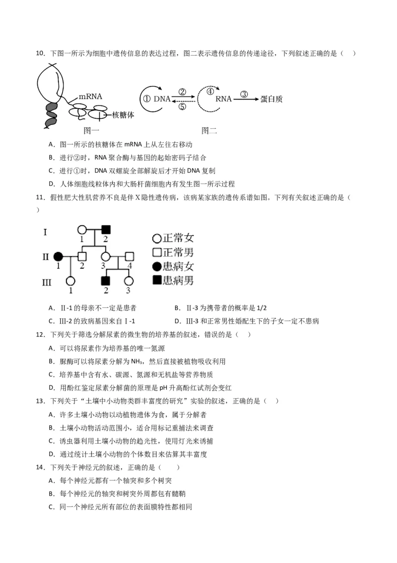 黄金卷03（新教材单科）-赢在高考&middot;黄金8卷备战2024年高考生物模拟卷（全国卷专用）（考试版）_2024年新高考资料_4.2024高考模拟预测试卷
