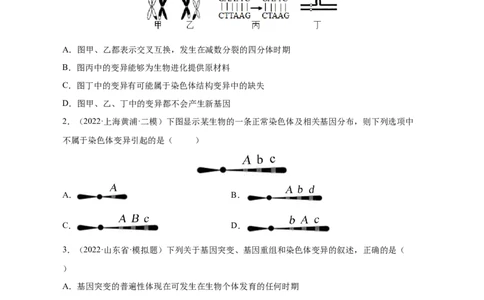 专题10生物的变异和进化（测试卷）-2023年高考生物二轮复习讲练测（全国通用）（原卷版）_通用版（老高考）复习资料_2023年复习资料_二轮复习