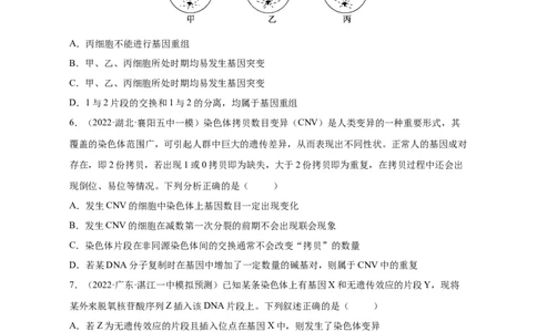 专题10生物的变异和进化（测试卷）-2023年高考生物二轮复习讲练测（全国通用）（原卷版）_通用版（老高考）复习资料_2023年复习资料_二轮复习