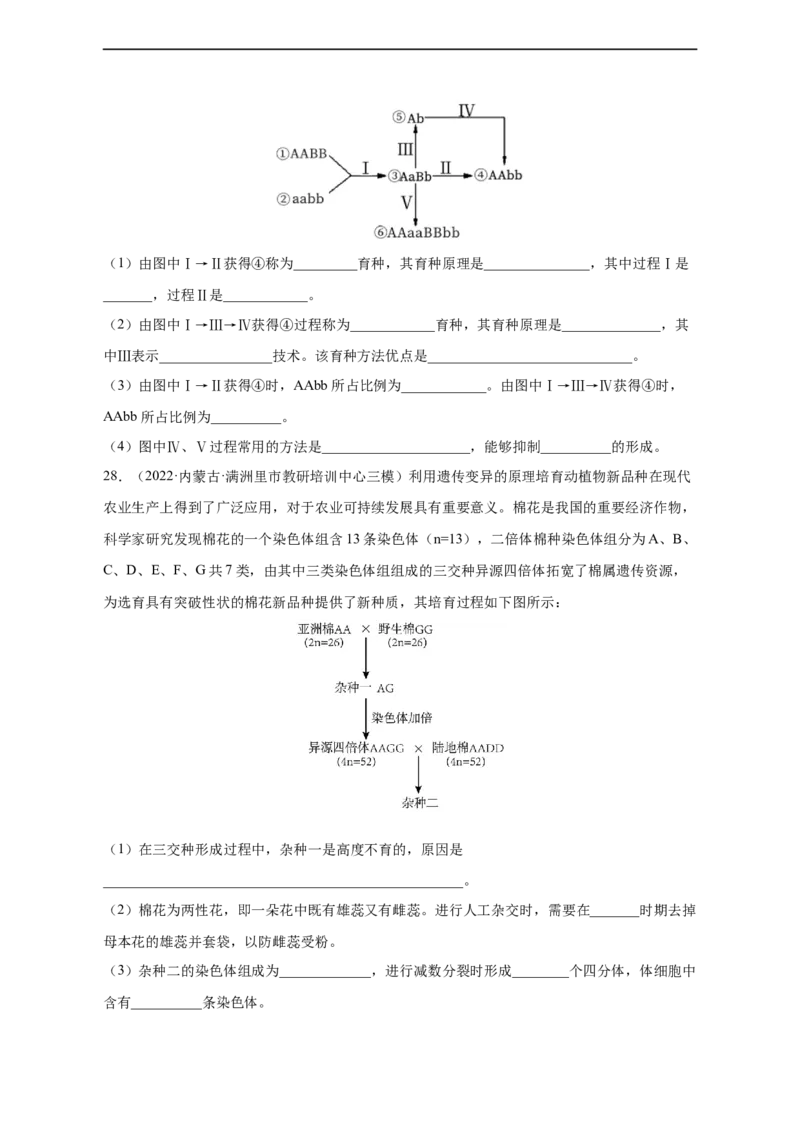 专题10生物的变异和进化（测试卷）-2023年高考生物二轮复习讲练测（全国通用）（原卷版）_通用版（老高考）复习资料_2023年复习资料_二轮复习