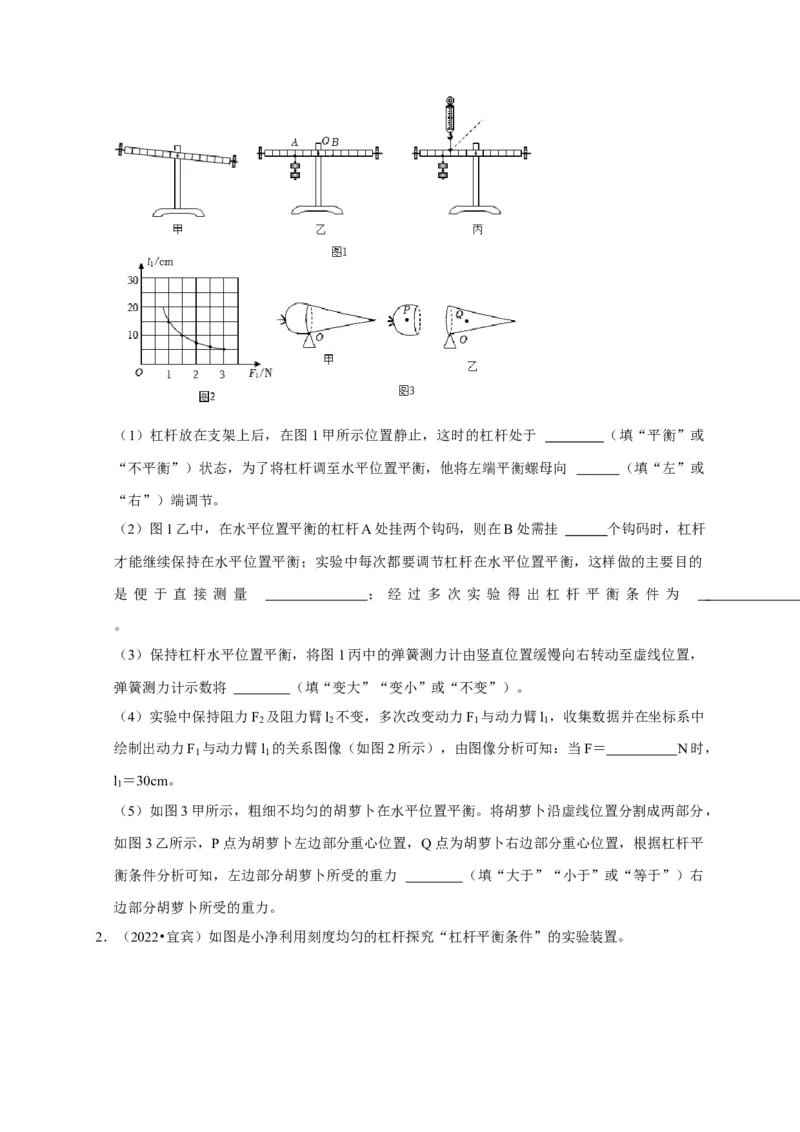 实验12探究杠杆的平衡条件（原卷版）_8、物理总复习_2024年中考复习资料_二轮复习_（讲义+练习）2024年中考物理二轮题型专项复习