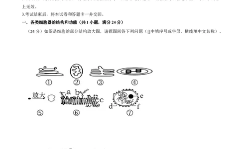 黄金卷04（解析版）-赢在高考&middot;黄金8卷备战2024年高考生物模拟卷（上海专用）_2024年新高考资料_4.2024高考模拟预测试卷