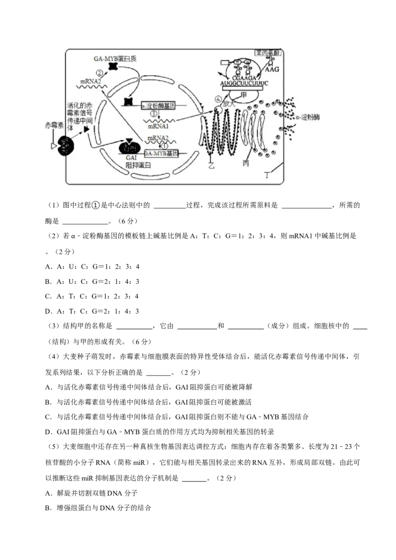 黄金卷04（解析版）-赢在高考&middot;黄金8卷备战2024年高考生物模拟卷（上海专用）_2024年新高考资料_4.2024高考模拟预测试卷