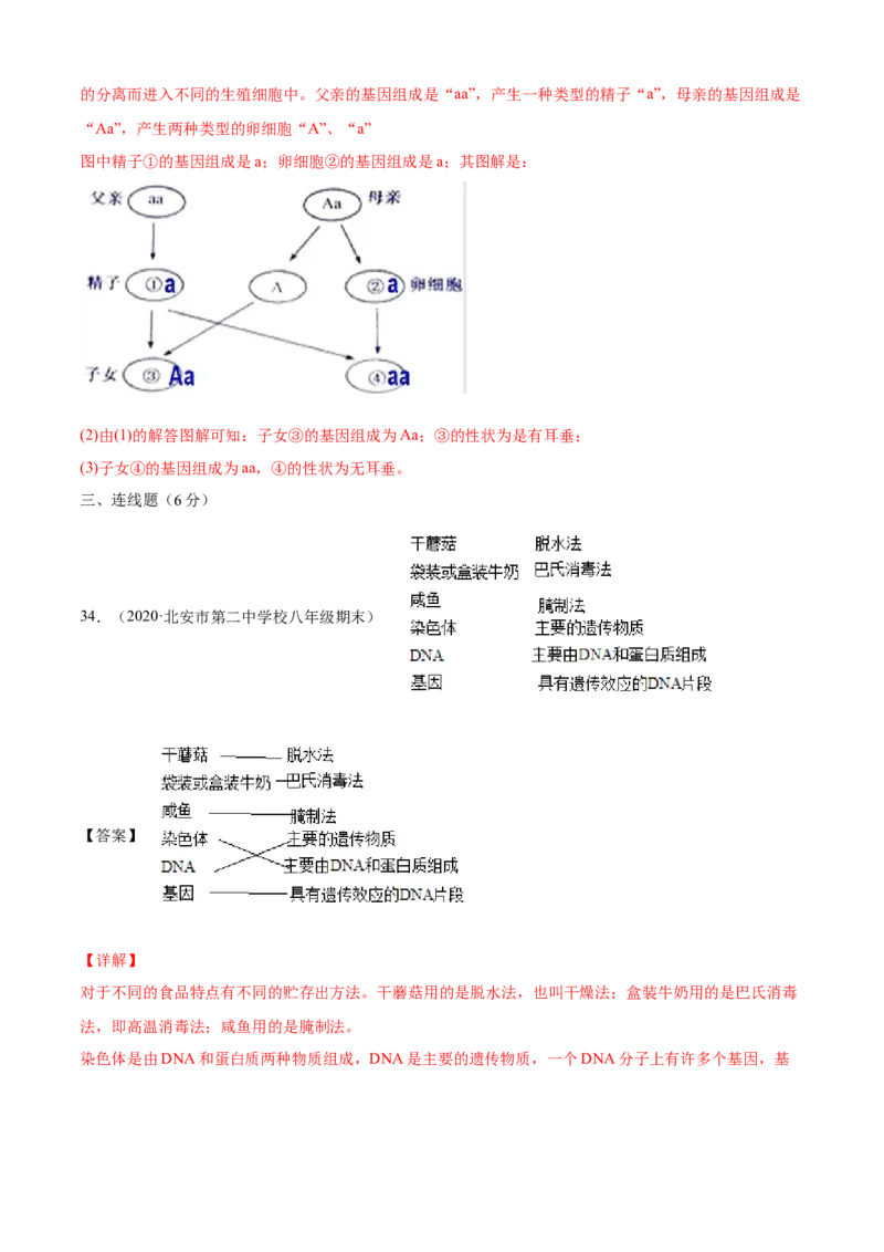02生物的遗传和变异B卷（解析版）_初中全科电子版试卷练习试题_生物_生物8下练习_人教生物8年级下单元试卷38份_第3套八年级生物下册单元试卷（人教版）06份