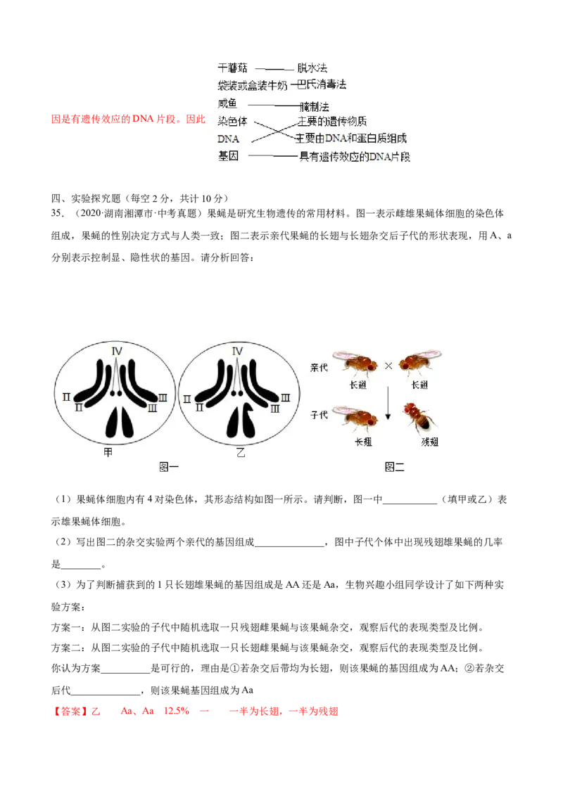 02生物的遗传和变异B卷（解析版）_初中全科电子版试卷练习试题_生物_生物8下练习_人教生物8年级下单元试卷38份_第3套八年级生物下册单元试卷（人教版）06份