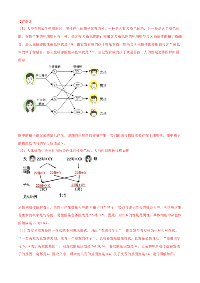 02生物的遗传和变异B卷（解析版）_初中全科电子版试卷练习试题_生物_生物8下练习_人教生物8年级下单元试卷38份_第3套八年级生物下册单元试卷（人教版）06份