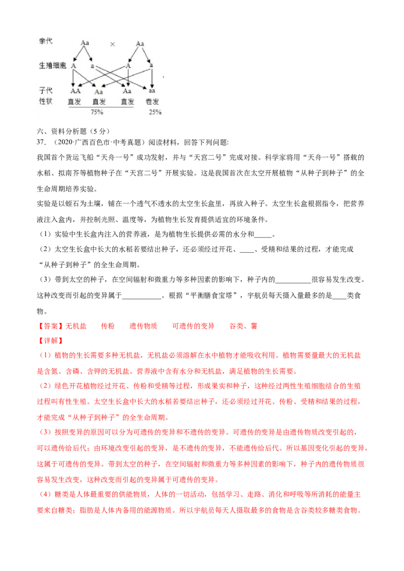 02生物的遗传和变异B卷（解析版）_初中全科电子版试卷练习试题_生物_生物8下练习_人教生物8年级下单元试卷38份_第3套八年级生物下册单元试卷（人教版）06份