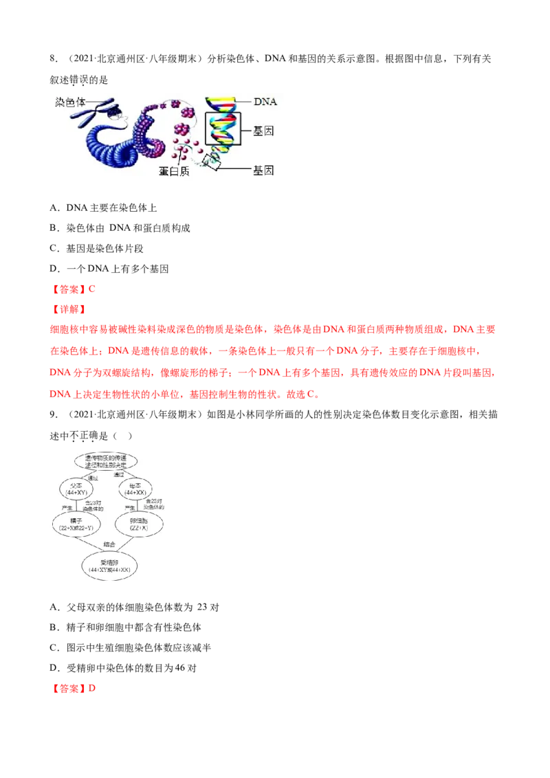 02生物的遗传和变异B卷（解析版）_初中全科电子版试卷练习试题_生物_生物8下练习_人教生物8年级下单元试卷38份_第3套八年级生物下册单元试卷（人教版）06份