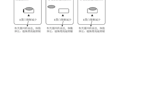 黄金卷03（参考答案）-赢在高考&middot;黄金8卷备战2024年高考生物模拟卷（北京专用）_2024年新高考资料_4.2024高考模拟预测试卷