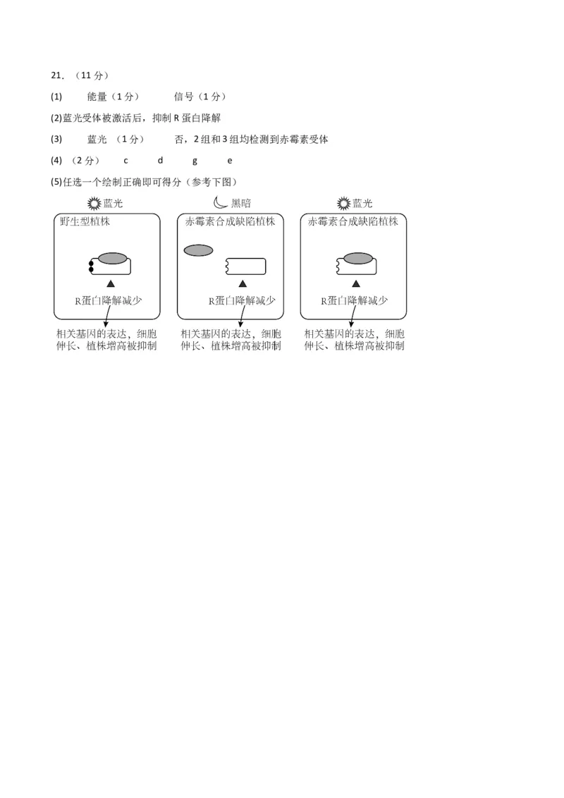 黄金卷03（参考答案）-赢在高考&middot;黄金8卷备战2024年高考生物模拟卷（北京专用）_2024年新高考资料_4.2024高考模拟预测试卷