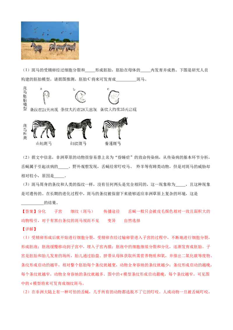 04传染病和免疫B卷（解析版）_初中全科电子版试卷练习试题_生物_生物8下练习_人教生物8年级下单元试卷38份_第3套八年级生物下册单元试卷（人教版）06份