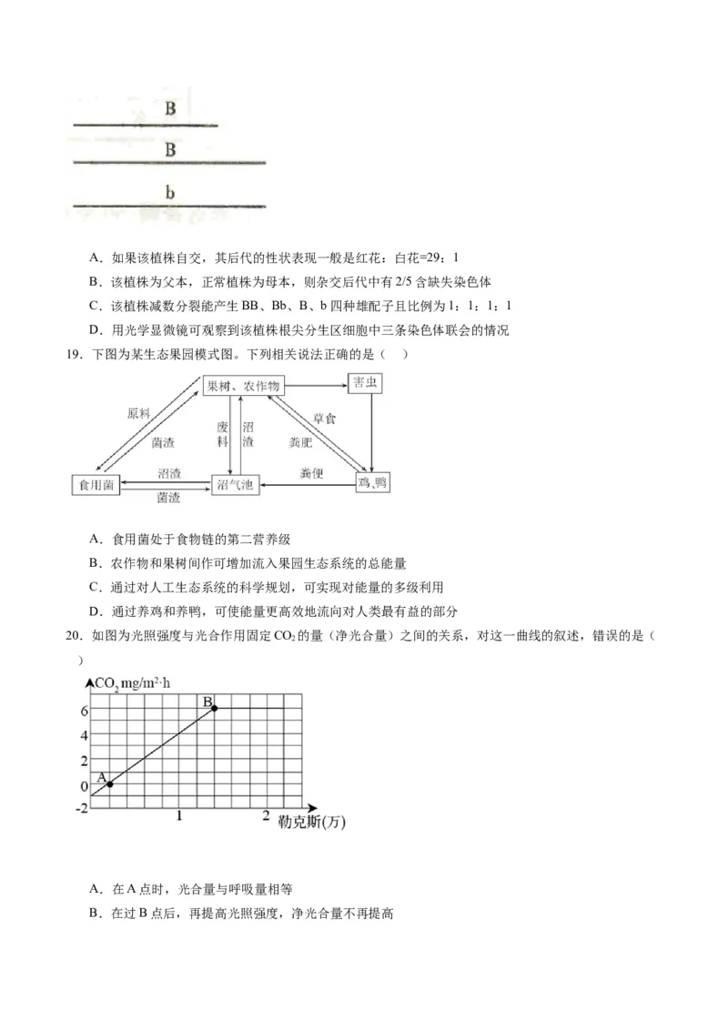 黄金卷08（考试版）-赢在高考&middot;黄金8卷备战2024年高考生物模拟卷（辽宁专用）_2024年新高考资料_4.2024高考模拟预测试卷