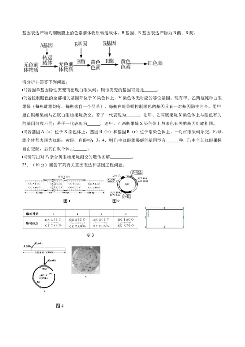 黄金卷08（考试版）-赢在高考&middot;黄金8卷备战2024年高考生物模拟卷（辽宁专用）_2024年新高考资料_4.2024高考模拟预测试卷