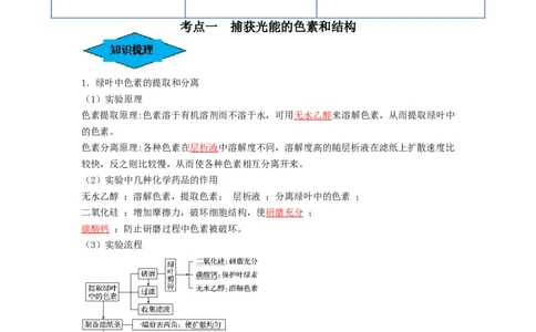 专题09光合作用（串讲）（解析版）_新高考复习资料_2024年新高考复习资料_一轮复习资料_完备战2024年高考生物一轮复习串讲精练（新高考专用）_串讲_解析版