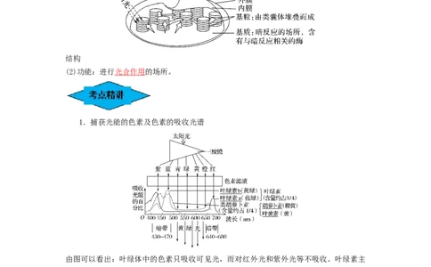 专题09光合作用（串讲）（解析版）_新高考复习资料_2024年新高考复习资料_一轮复习资料_完备战2024年高考生物一轮复习串讲精练（新高考专用）_串讲_解析版