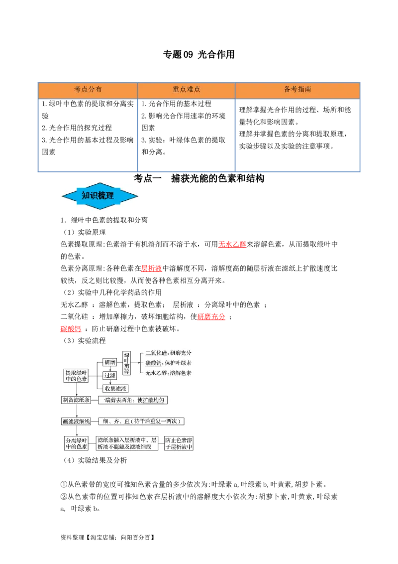专题09光合作用（串讲）（解析版）_新高考复习资料_2024年新高考复习资料_一轮复习资料_完备战2024年高考生物一轮复习串讲精练（新高考专用）_串讲_解析版