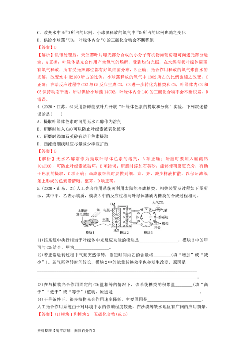 专题09光合作用（串讲）（解析版）_新高考复习资料_2024年新高考复习资料_一轮复习资料_完备战2024年高考生物一轮复习串讲精练（新高考专用）_串讲_解析版
